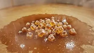 Inside a Giant Cane Sugar Factory: How Fresh Sugarcane Becomes Crystal Sugar