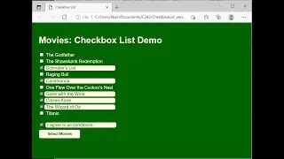HTML CSS JavaScript Demo: Checkboxes -- Version 1