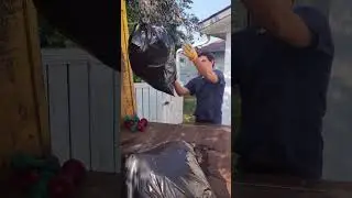 310-DUMP | Full Service Junk Removal