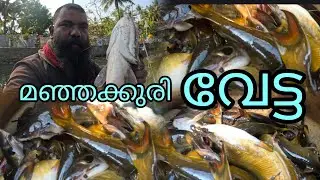 മഞ്ഞക്കുരി വേട്ട #realfishing #reallife #fishing 