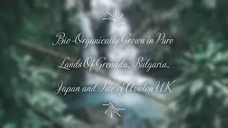 100% Bio-Organics Essential Oil and Plant Base  Alchemy  -  ISKABA Natural Skincare Products