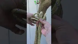 Spanish Bowline Knot Explained Fast | Strong, Secure Loop Knot