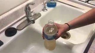 Homemade Fermented Root Beer