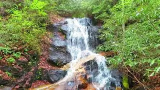 Log Hollow Falls; Western North Carolina