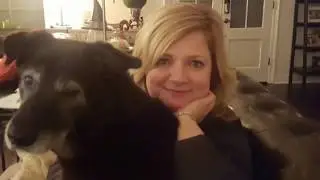Meet Zelda - LSU School of Veterinary Medicine