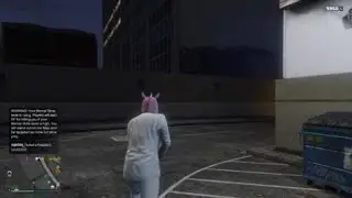 Revolver glitch