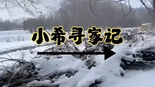 小希寻家记第 1 天！孤身闯荒野开启流浪之旅，野外生存挑战正式上线 #野外生存 #流浪 #户外