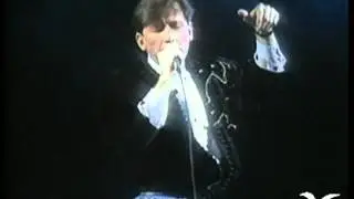Festival de Viña 1991, Ricardo Montaner, A donde va el amor
