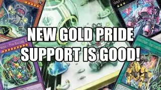 Yu-Gi-Oh! Gold Pride Gets Even Better!