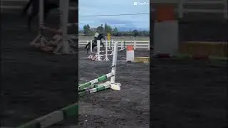 Dm me and my eq, look at him #viralvideo #horse #spottedhorse #horserider #horseaddict