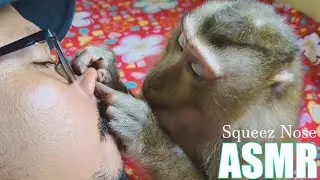 Dr. Bela Harvest My Nose Hair Ever Legendary Strongmonkey Known For Shoocking