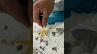 I Tried Making a GIANT Ocean Resin Table &ndash; Epic Result!🌊✨