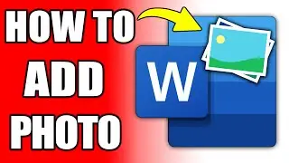 How To Add Photo In Word Document (Easy)