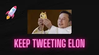 Dogecoin rises again - Thank you Elon for your Tweet