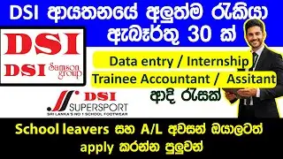 DSI Job Vacancies 30 ක් - 2026