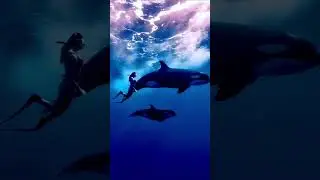 Killer Whale Majesty: Intelligence in the Wild