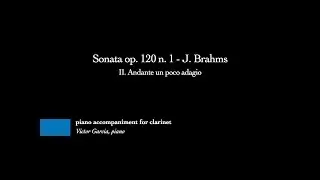 Sonata op. 120 n. 1 - II. Andante un poco adagio - J.Brahms [PIANO ACCOMPANIMENT FOR CLARINET/VIOLA]