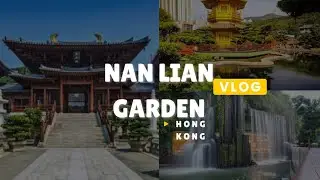 A beautiful park in Diamond Hill! Nan Lian Garden Hong Kong 南蓮園池 📍