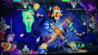 Ocean King 2 Skilled Fish-Dragon Hunting Video Arcade Fishing Game Machine