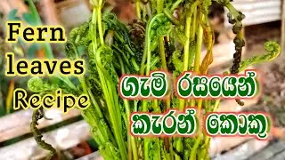 ගමේ රසට කැරන් කොකු හදමු|🍃Fern Leaves Curry|Traditional Sri Lankan Food🥗