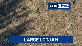 Large log jam washes into North Fork Reservoir on the Clackamas river