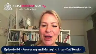 Episode 84 &ndash; Assessing and Managing Inter-Cat Tension & Aggression Cases