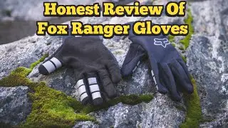 Honest Fox Ranger Review