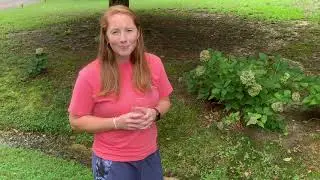 Gathering Sample Water