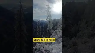 snow fall #snowfall #snowinwinter
