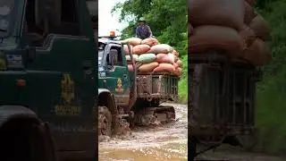 Tracked Truck Battles Deep Mud with Heavy Rice Load! 🚜🌾💦 #shorts #truck #track #farming #viralvideo