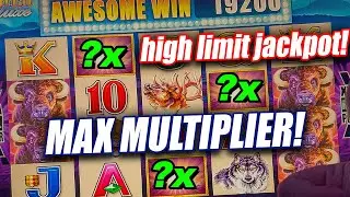 BUFFALO DELUXE HIGH LIMIT JACKPOT WIN