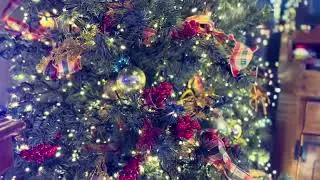 Merry Christmas 2025 Washington DC USA 🇺🇸 #chaminda_d #travel #explore #usa #christmas #holyspirit 