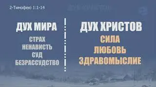 12.14.2017 - Александр Литвинов