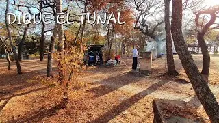 САМЫЕ ЦЕННЫЕ МОМЕНТЫ В МИРЕ | ЭЛЬ ТУНАЛ ДАМИН | АСМР
