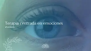 &iquest;Qu&eacute; es la Terapia Centrada Emociones?