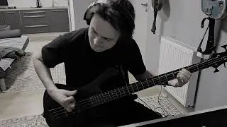 Alice in chains - Check my brain (bass cover)