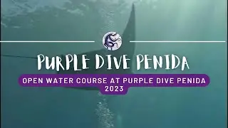 OPEN WATER COURSE at Purple DIVE Penida 2023 !!