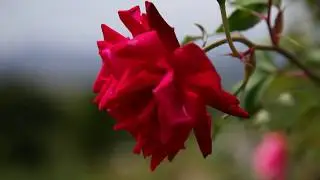 Desa Pariangan, Desa terindah di Dunia