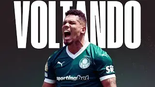 🔥PAULINHO EST&Aacute; VOLTANDO