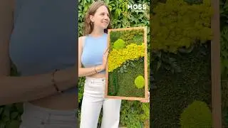 Moss Wall Art for Home Decor Preserved Moss Frame | Nature-Inspired Interior Design #mossartstudio