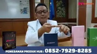 Harga Maxiboost di Jakarta (0852-7929-8285)