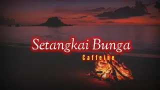 Setangkai Bunga - Caffeine (lirik)