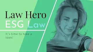 What the hell is ESG Law?