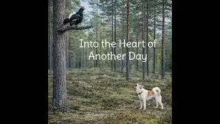 Into the Heart of Another Day