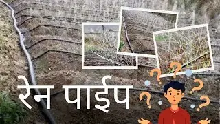 सर्वात स्वस्त: तुषार सिंचन कसा काम करतो ? हिरा रेन पाईप
