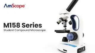 AmScope M158 Student Compound Microscope