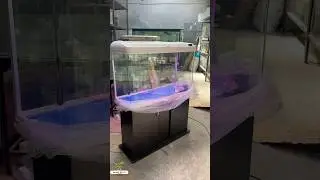 Imported  tank available@offer price for 2 days @Nemopetscovai  #aquarium #coimbatore #fish #covai