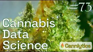 Snapping Up 50,000 Lab Results with Selenium | Cannabis Data Science #73
