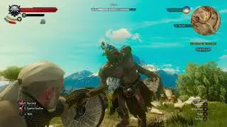 One Shot One Kill - Witcher 3