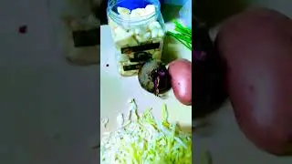 💯😋 homemade Вorscht/борщ пошагово/step by step🍖🍅🥔🧅🥬🫜 respect #shorts